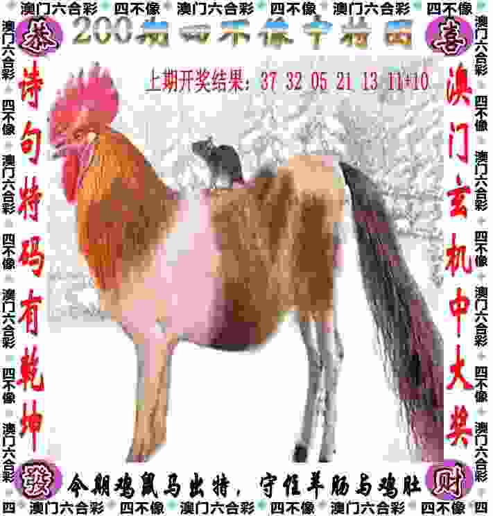 >4933333王中王免费